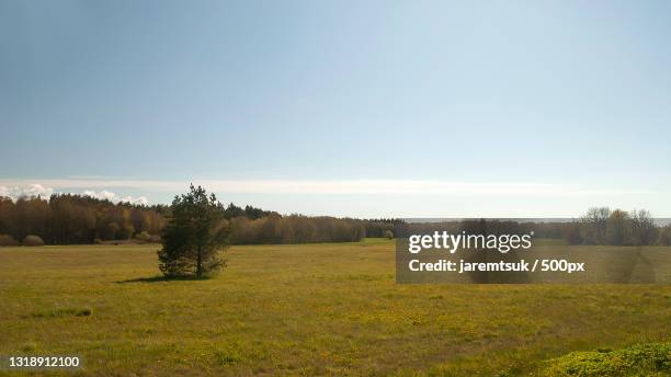 Muraste Raba 26 Muraste Stock Photos, High-Res Pictures, and Images - Getty Images