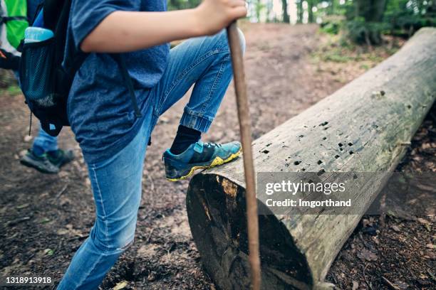 Tree Walkboy 3,033 Boy Using Walking Stick Stock Photos, High-Res Pictures, and ...