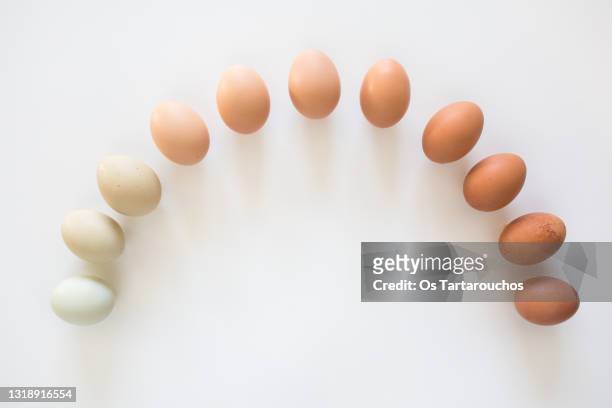 eggs in a color gradient arranged in a rainbow shape. - animal egg stock pictures, royalty-free photos & images