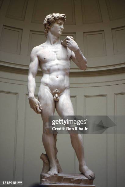 Michelangelo's David statue as it resides inside the Galleria Dell' Academia, August 18, 1986 in Florence, Italy. "n