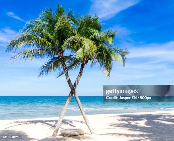 scenic view of sea against sky,lagos,nigeria - nigeria bildbanksfoton och bilder