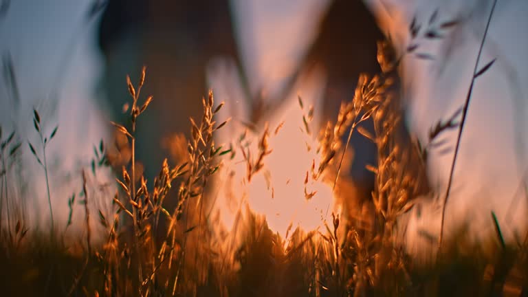 https://media.gettyimages.com/id/1318923693/video/unrecognizable-mother-and-daughter-holding-hands-while-walking-in-high-grass-at-sunset.jpg?b=1&s=640x640&k=20&c=yc889omb_fCALsjkvESGTVXIaGFBQIiLziVfm7qRjO8=
