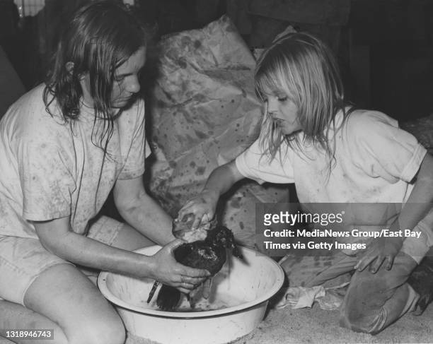 Marriane Haines of Orinda, and her daughter Laura clean oil off a duck at an old car plant staged for to bird cleanup in Richmond, California on...