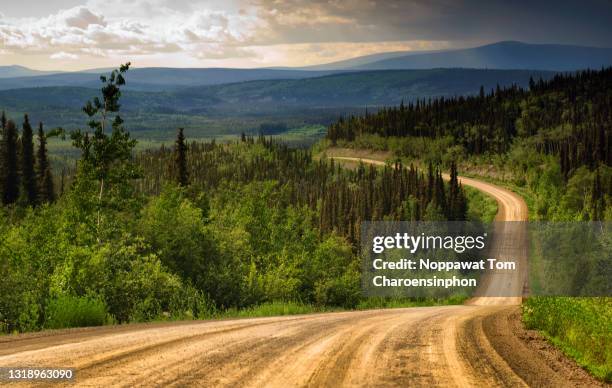 dalton highway in summer, alaska, usa - dirt track stock pictures, royalty-free photos & images