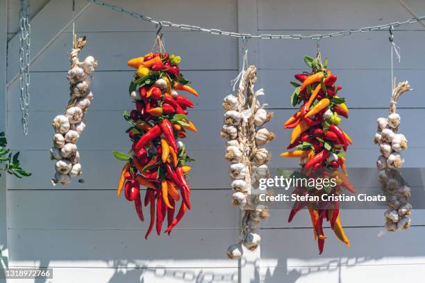 hanging peppers and garlics - croatia food stock pictures, royalty-free photos & images