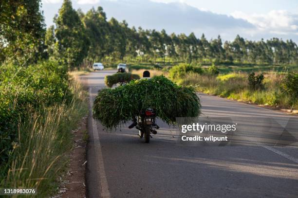 Motorcycle Overloading Overloaded Motorcycle Photos and Premium High Res Pictures - Getty Images
