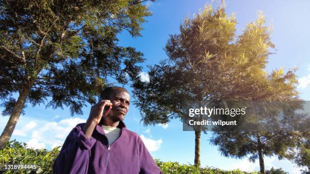 man looking away talking on a mobile phone in a rural setting with a line of trees - tree man syndrome stock pictures, royalty-free photos & images