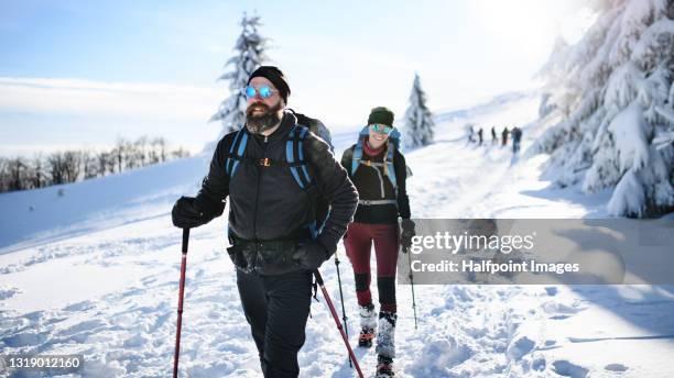 couple hiking in winter nature. - nordic walking stock pictures, royalty-free photos & images
