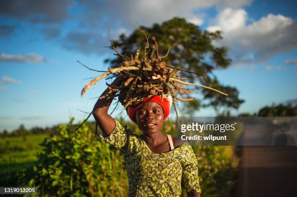 lebendiges porträt der jungen afrikanischen frau, die ein bündel brennholz auf dem kopf neben einer teeplantage trägt - african stock-fotos und bilder