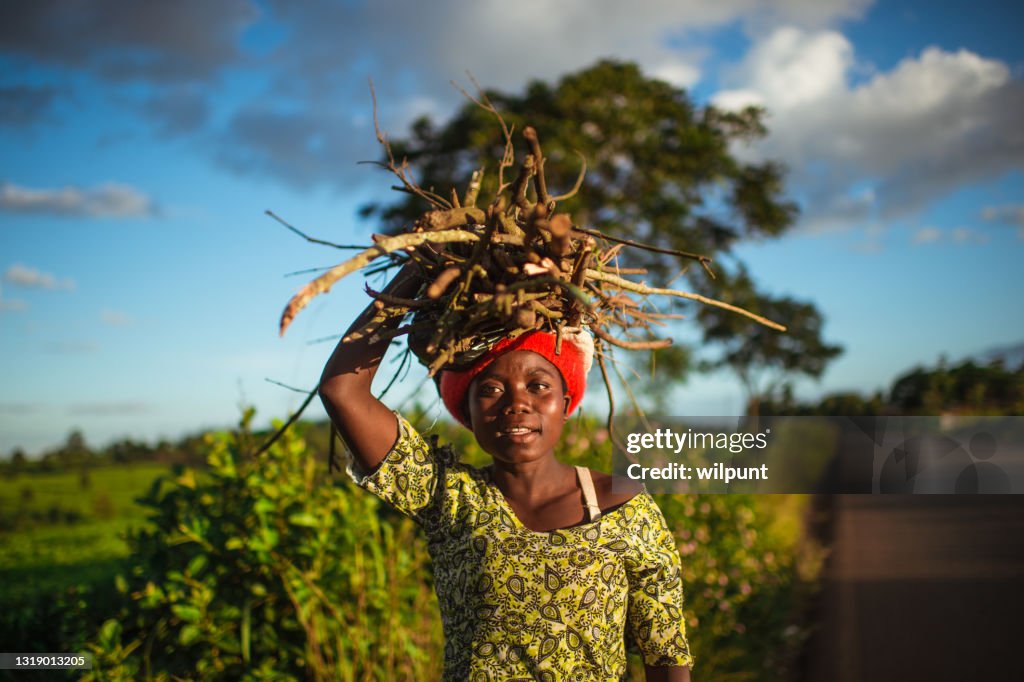 Vibrant Portrait of Young African woman carrying a bundle of firewood on her head next to a tea plantation