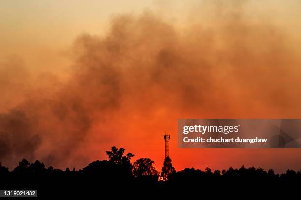 global warming from the sun and burning, heatwave hot sun, climate change, heat stroke - 熱波 ストックフォトと画像