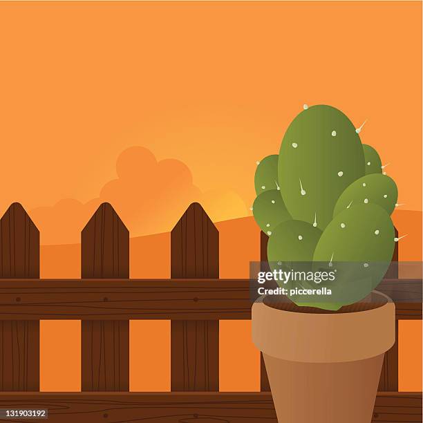 succulent plant in the sunset - palisade boundary stock illustrations