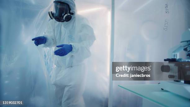 scientist in clean coat checking biohazardous substance. working behind foil curtain. picking medical marijuana samples - roupa protetora imagens e fotografias de stock