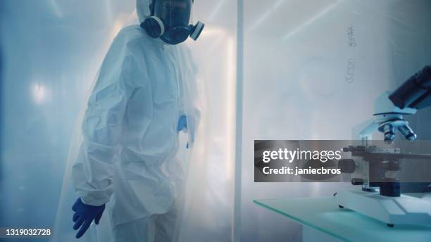 scientist in clean coat checking biohazardous substance. working behind foil curtain. picking medical marijuana samples - roupa protetora imagens e fotografias de stock