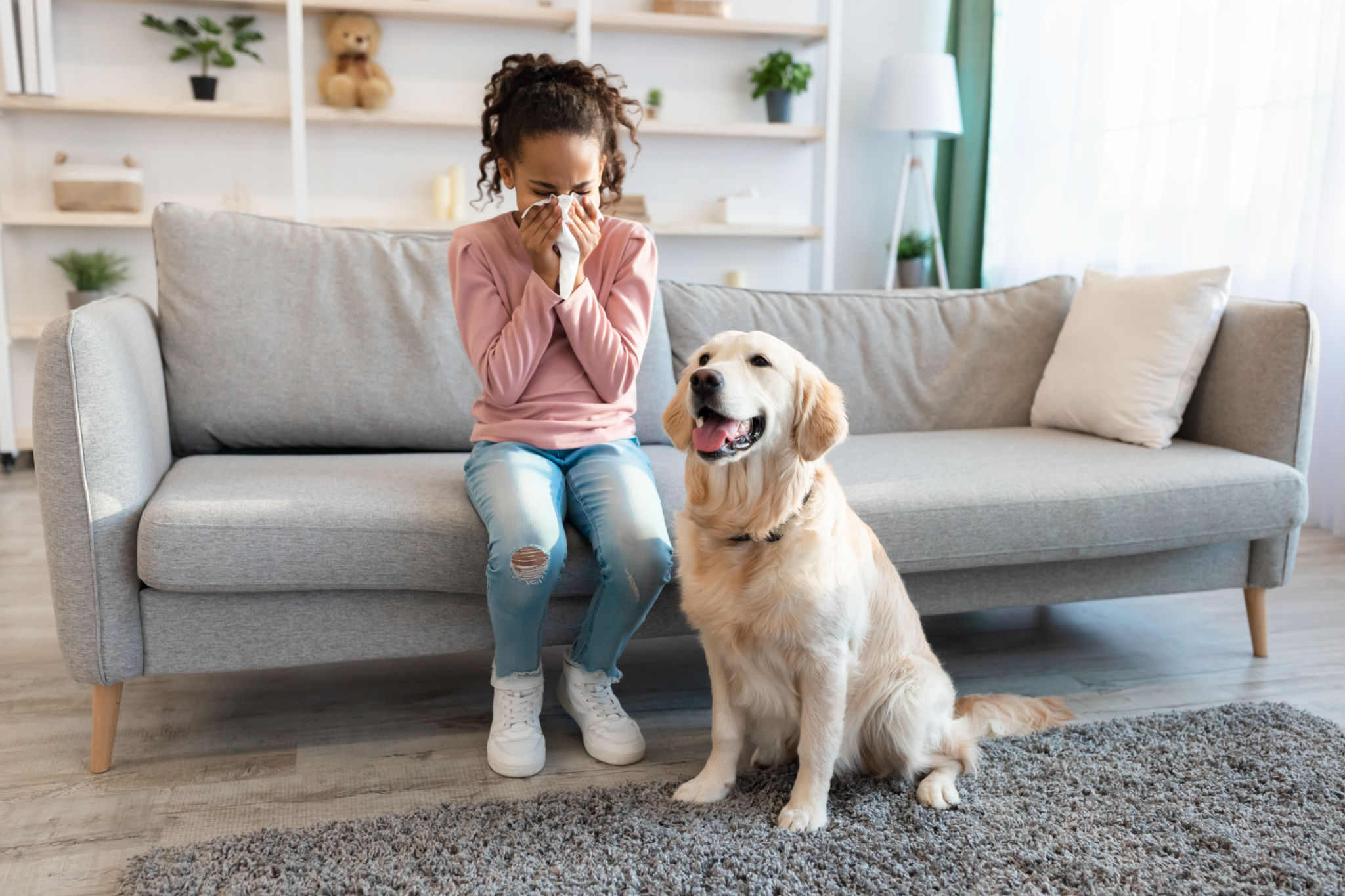 pet allergies