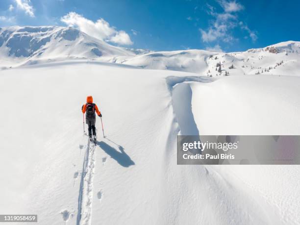fit young woman hikes up a hill covered in fresh powder snow - alps romania stock pictures, royalty-free photos & images