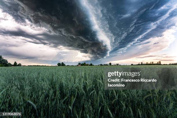 stormy clouds gathering over green wheat field. - supercell stockfoto's en -beelden