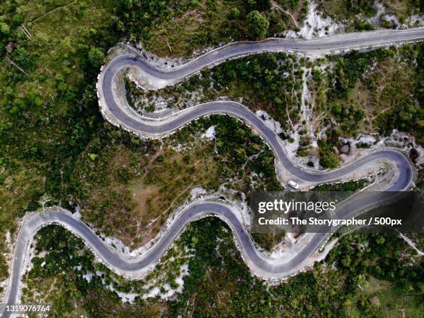 aerial view of winding road amidst trees in forest - the storygrapher - fotografias e filmes do acervo