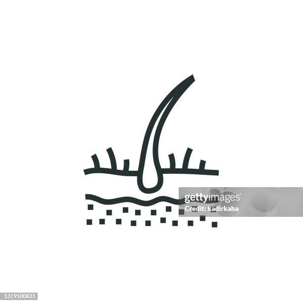 hair care line icon - density stock illustrations