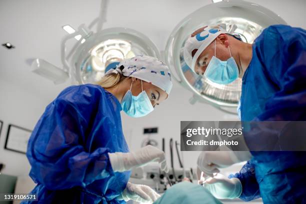 procédure d’exécution d’équipe dentaire - dentition humaine photos et images de collection