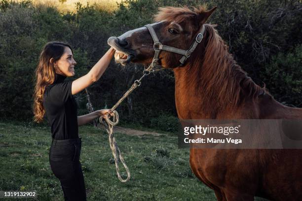 side view of a woman feeding her brown horse at field - muzzle human stock pictures, royalty-free photos & images