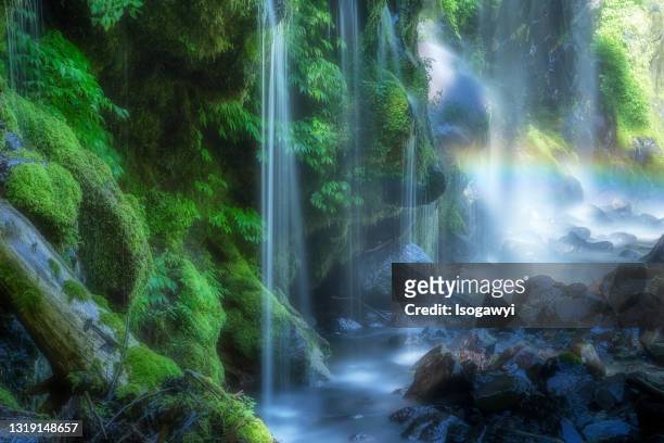 mossy ravine and clear water with rainbow - lachen stock pictures, royalty-free photos & images