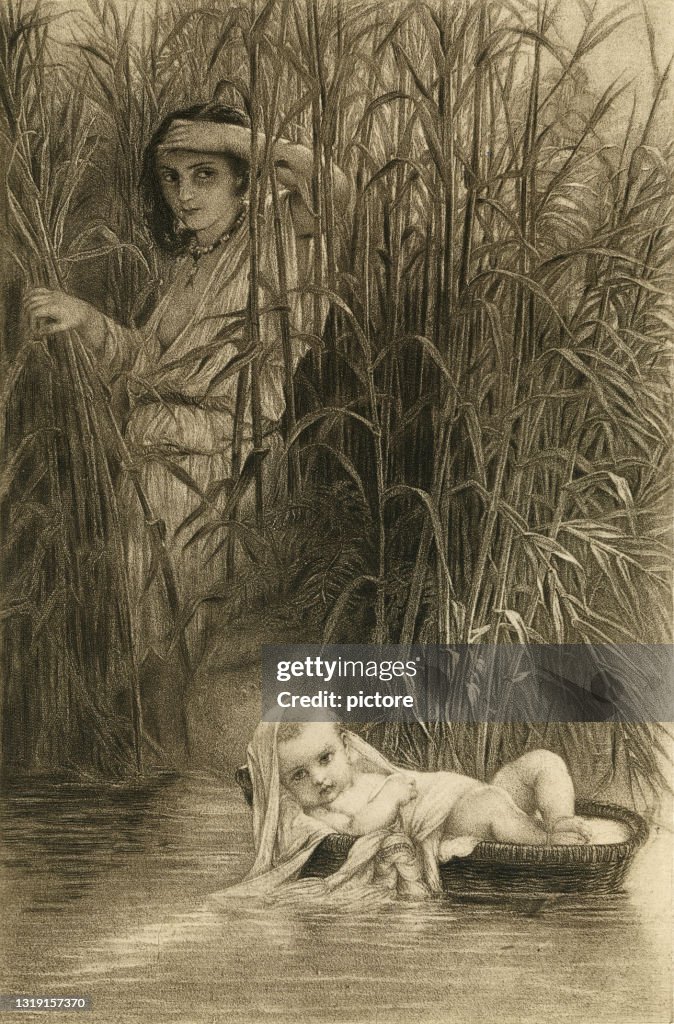 Bull Rushes Graphic Moses In The Bulrushes High-Res Vector Graphic - Getty Images