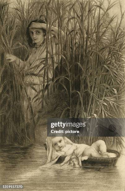 moses in the bulrushes (xxxl with lots of details) - moses religious figure stock illustrations