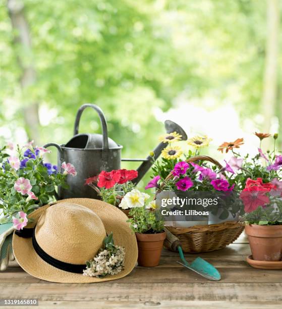 garden tools and spring flowers background - magenta stock pictures, royalty-free photos & images