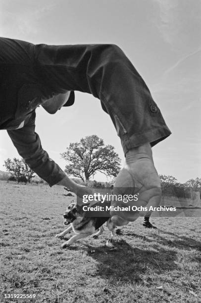 Soldier taunting a German shepherd as it is restrained by an obscured soldier during the dog's sentry training for use in the Vietnam War, at...