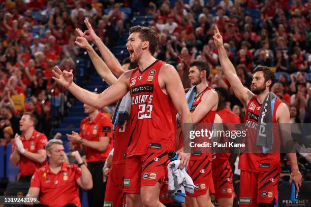 Will Magnay of the Wildcats celebrates from the bench with Kevin White, Clint Steindl and Mitchell Norton during the round 19 NBL match between Perth...