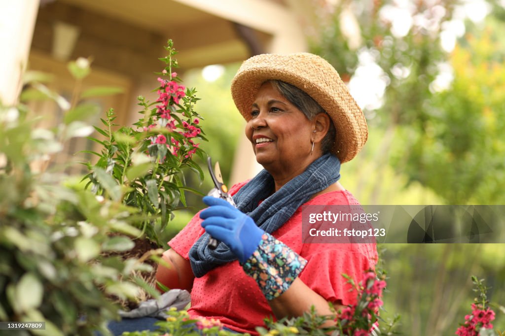 Senior adult woman enjoys gardening in home flower bed.