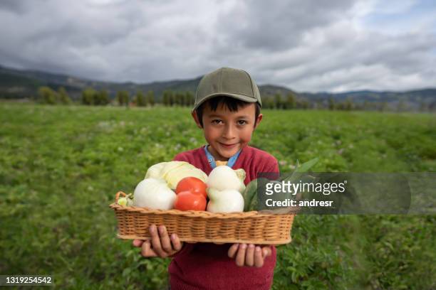 gelukkige latijns-amerikaanse jongen die een mand van groenten bij zijn landbouwbedrijf draagt - arm made of vegetables stockfoto's en -beelden
