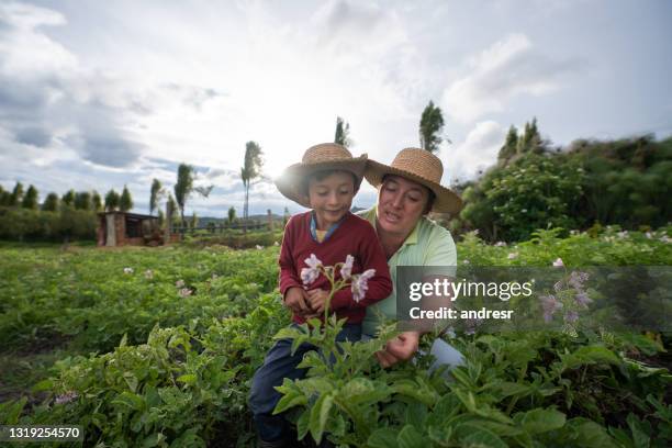 contadina che insegna a suo figlio a raccogliere la terra - farm worker foto e immagini stock