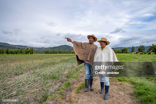 latijns-amerikaanse landbouwers die hun land na het oogsten van het gewas bekijken - colombia stockfoto's en -beelden