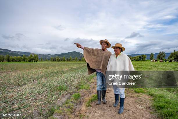 latinamerikanska bönder tittar på sin mark efter att ha skördat grödan - business mature couple portrait bildbanksfoton och bilder