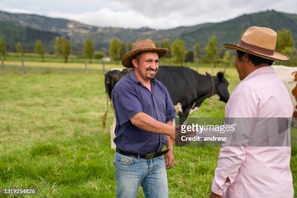 homme heureux achetant des vaches à une ferme de bétail et fermant l’affaire avec une poignée de main - champs et lait photos et images de collection