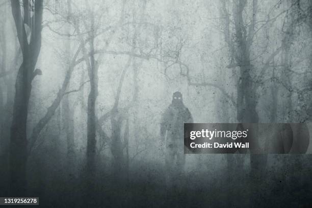 a dark scary concept. of a mysterious supernatural figure, walking through a forest. silhouetted against trees. on a foggy winters day. with a grunge, textured edit. - demon stock-fotos und bilder