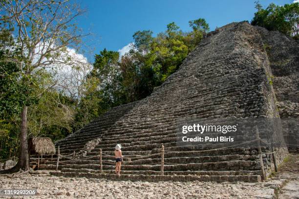 nohoch mul pyramid in cobá, mexico - coba stock pictures, royalty-free photos & images