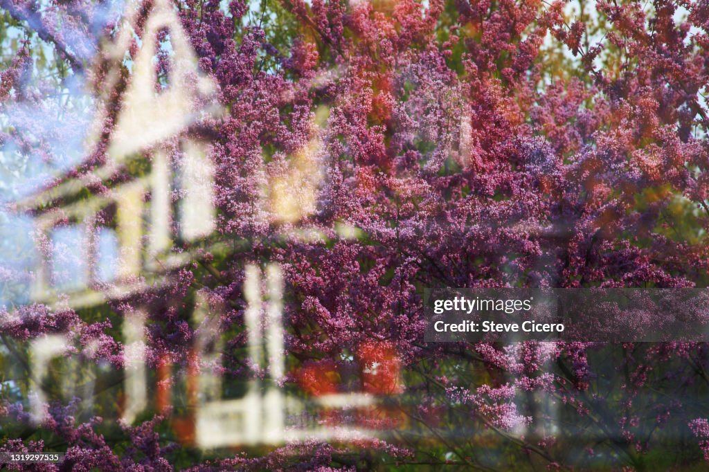 Haunted mansion exterior in spring