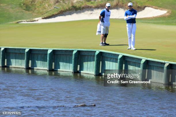Dylan Frittelli of South Africa and his caddie John Curtis watch an alligator near the 17th hole during the second round of the 2021 PGA Championship...