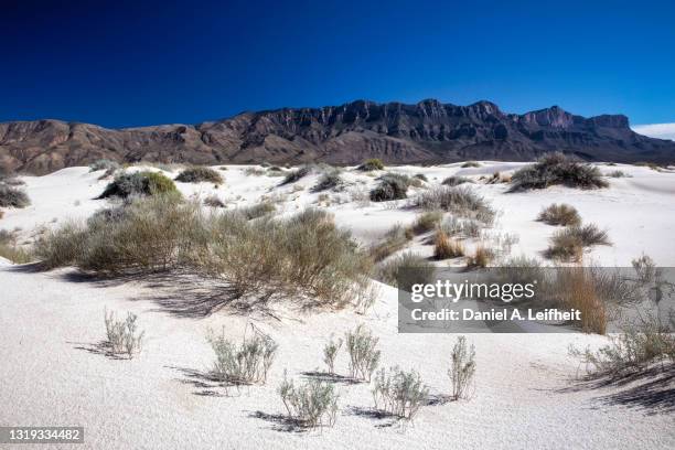 salt basin dunes at guadalupe mountains national park - chihuahua desert - fotografias e filmes do acervo