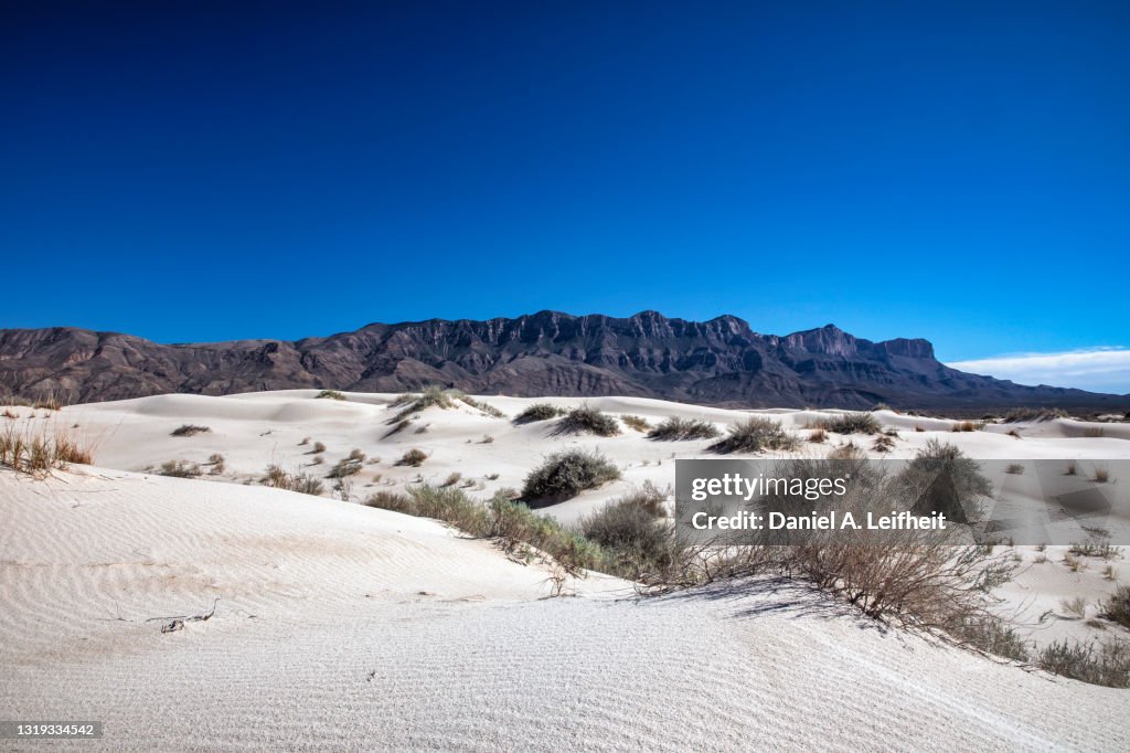 Salt Basin Dunes at Guadalupe Mountains National Park