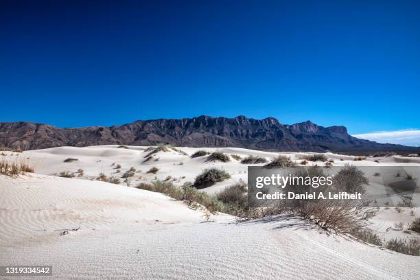 salt basin dunes at guadalupe mountains national park - deserto de chihuahua imagens e fotografias de stock