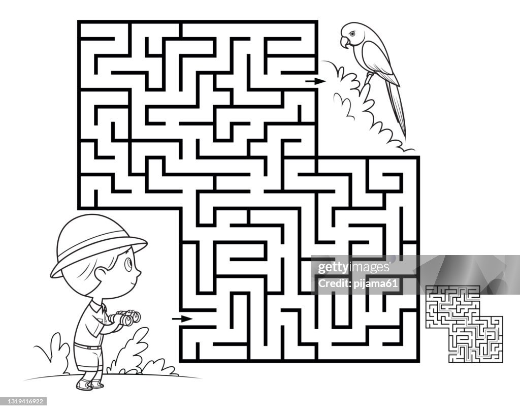 Black And White, Maze game for children. Parrot