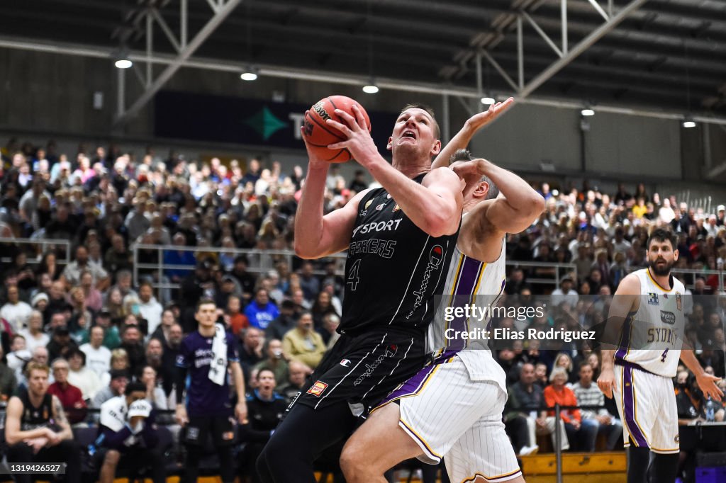 NBL Rd 19 - New Zealand v Sydney
