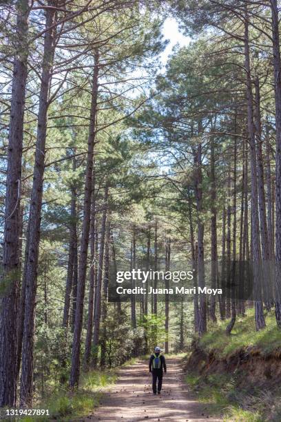 man hiking in the sierra de segura, in the province of jaén. andalusia. spain - cazorla stock pictures, royalty-free photos & images