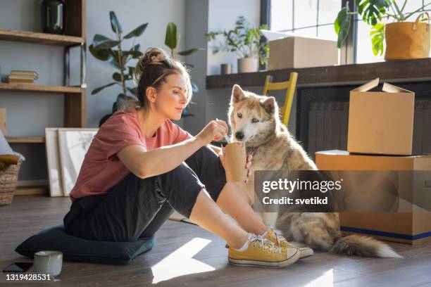 woman moving in new home - home sweet home dog stock pictures, royalty-free photos & images