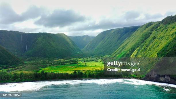 antenne van baai waipio en vallei in groot eiland hawaï - waipio valley stockfoto's en -beelden