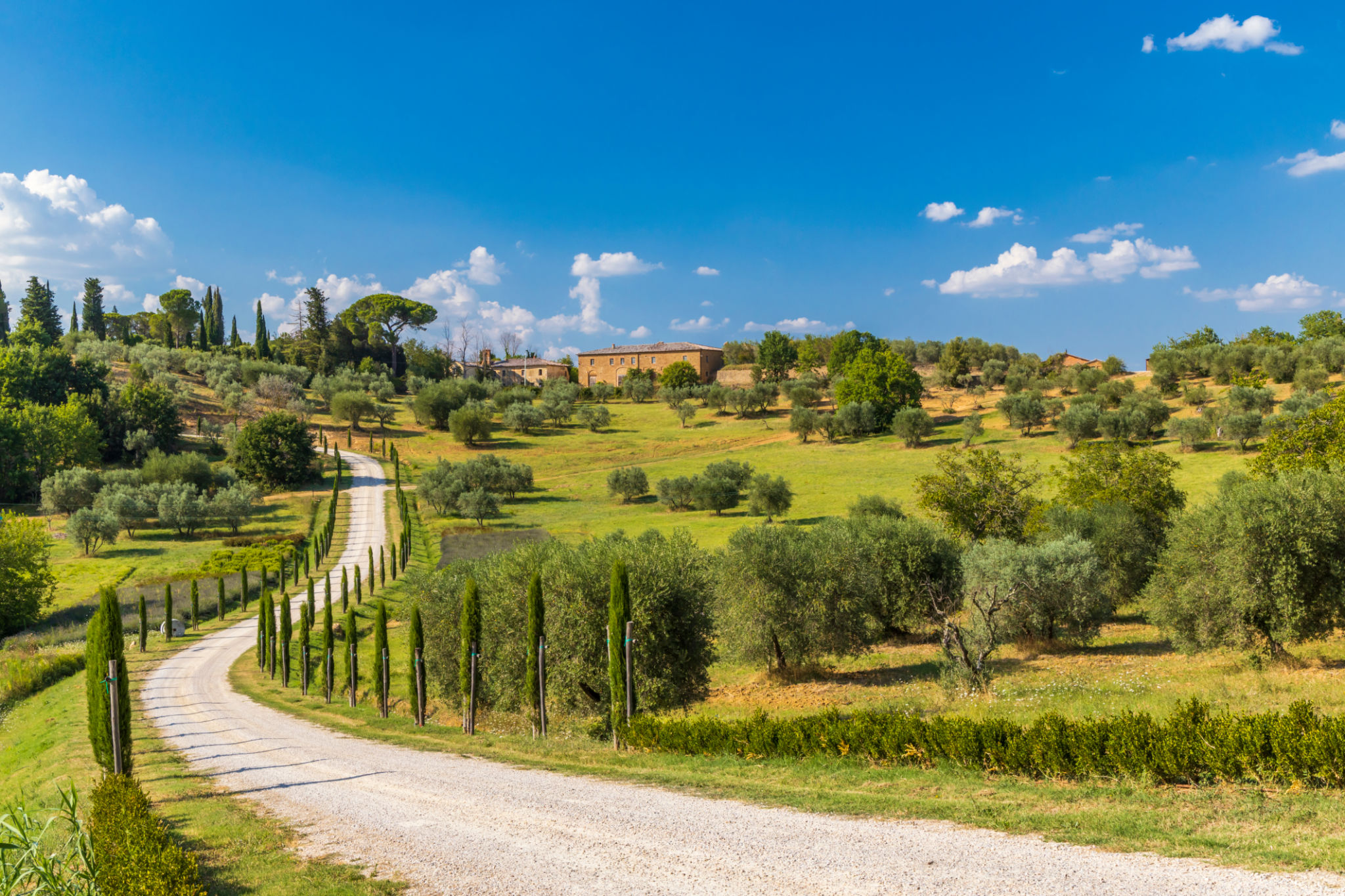 montepulciano hills
